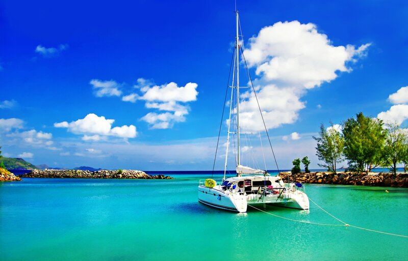 White Catamaran in Bay — Blue, Serene, Afternoon