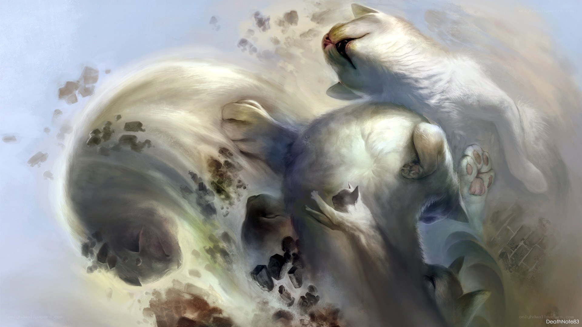 White cats in a swirling storm