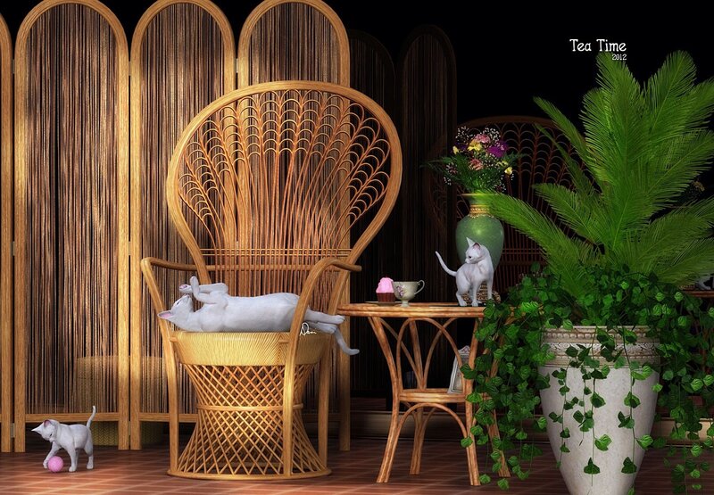 White Cats in Room
