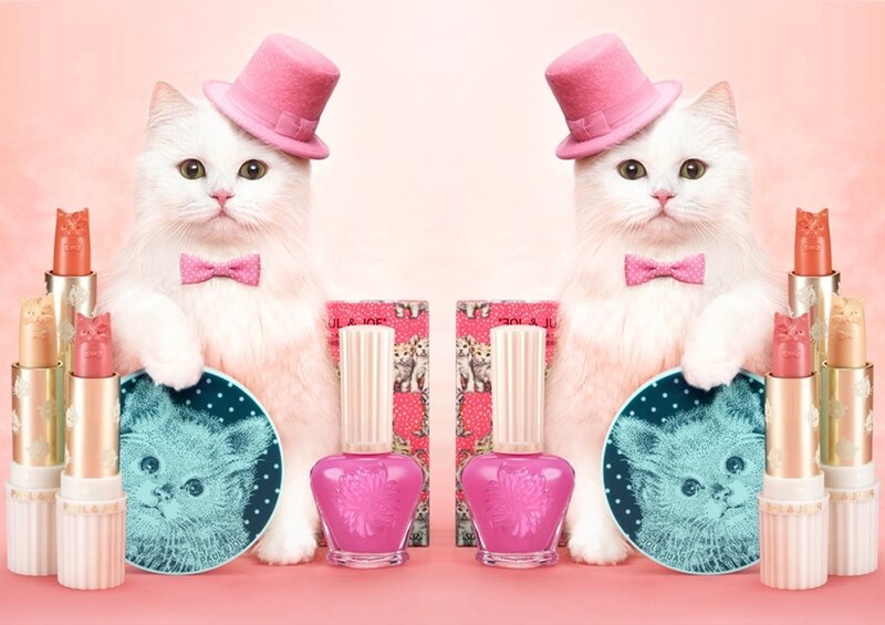 White Cats with Makeup