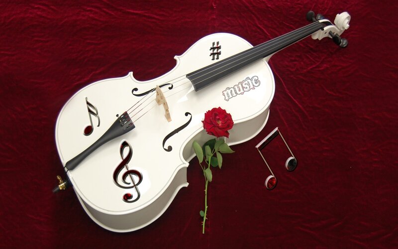 White Cello with Rose — Red