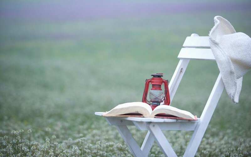 White Chair in Field