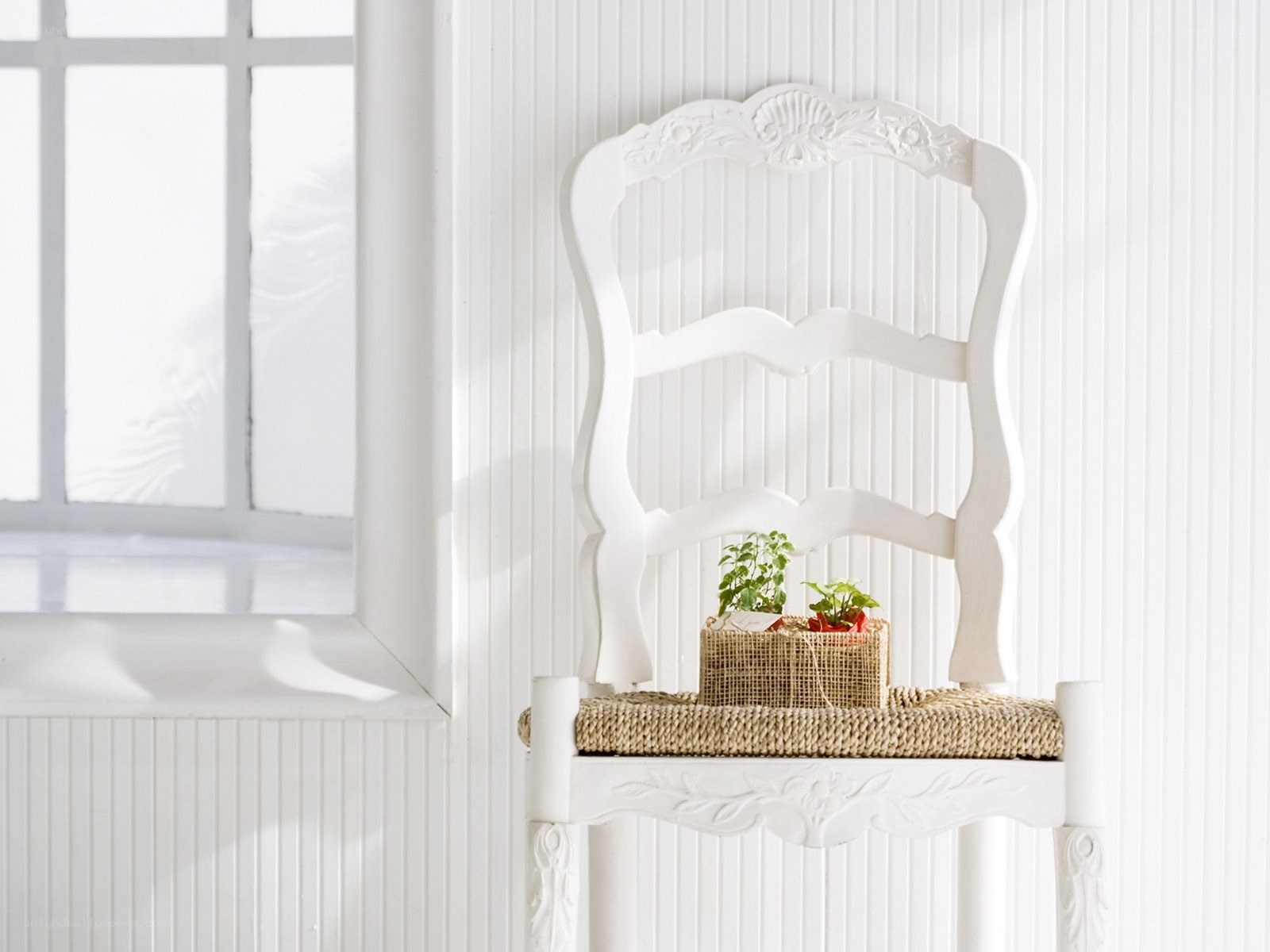 White chair with plants