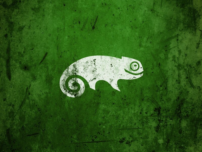 White Chameleon Silhouette
