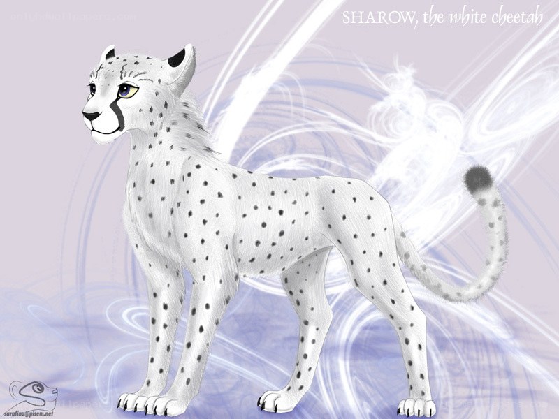 white cheetah character art