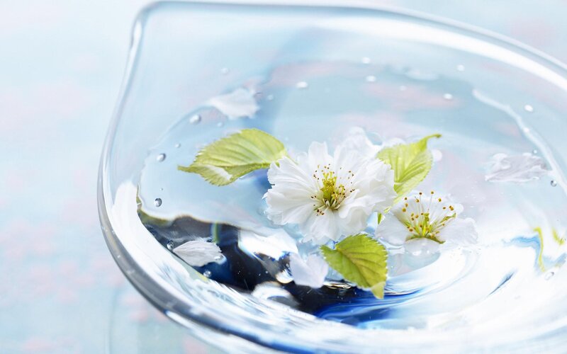 White Cherry Blossoms in Water — Blue