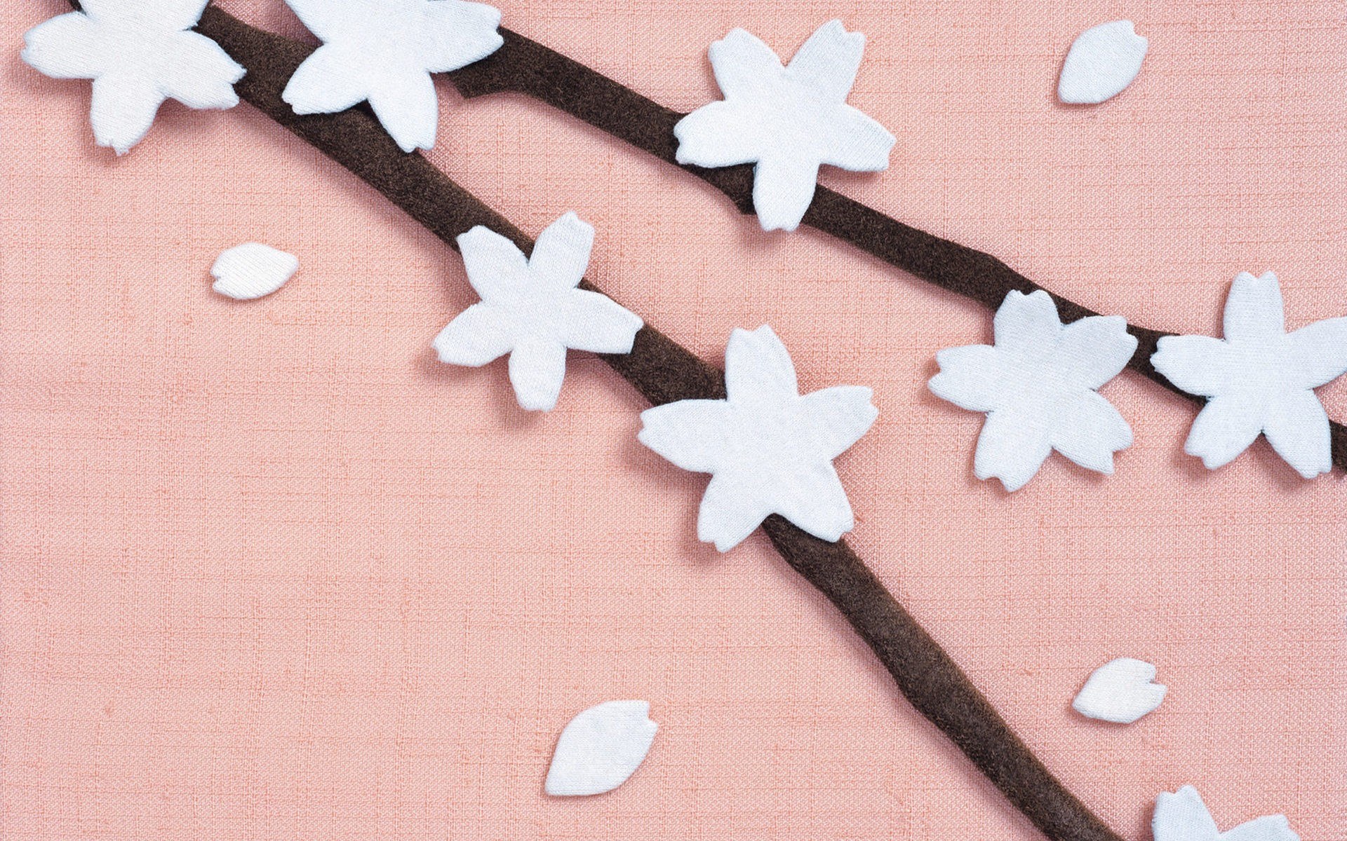 white cherry blossoms on branch