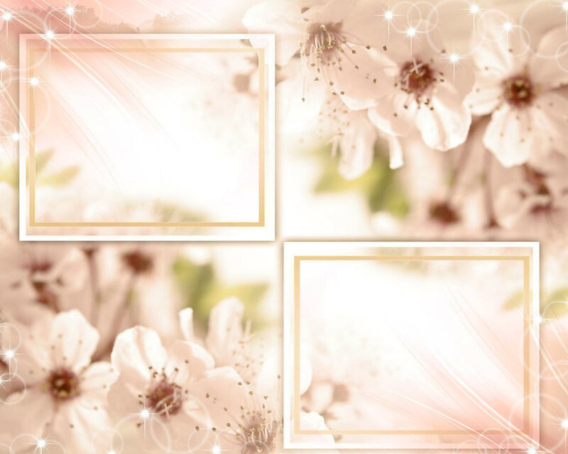 White Cherry Blossoms — Pink