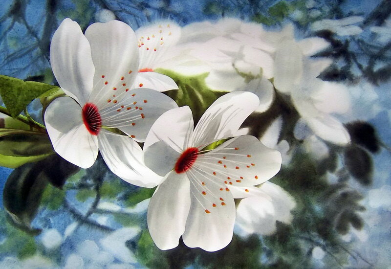 White Cherry Blossoms — Serene, Spring, Painting