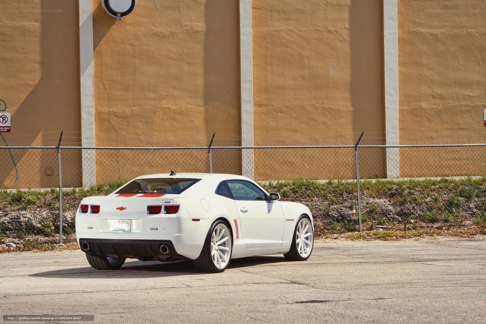 white chevrolet camaro