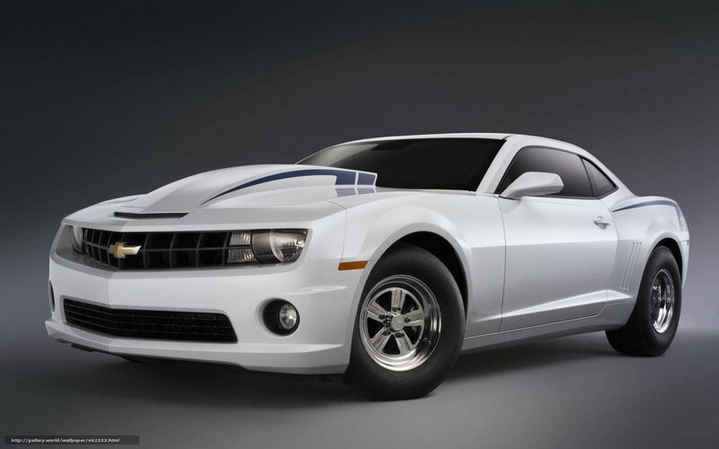 white chevrolet camaro car