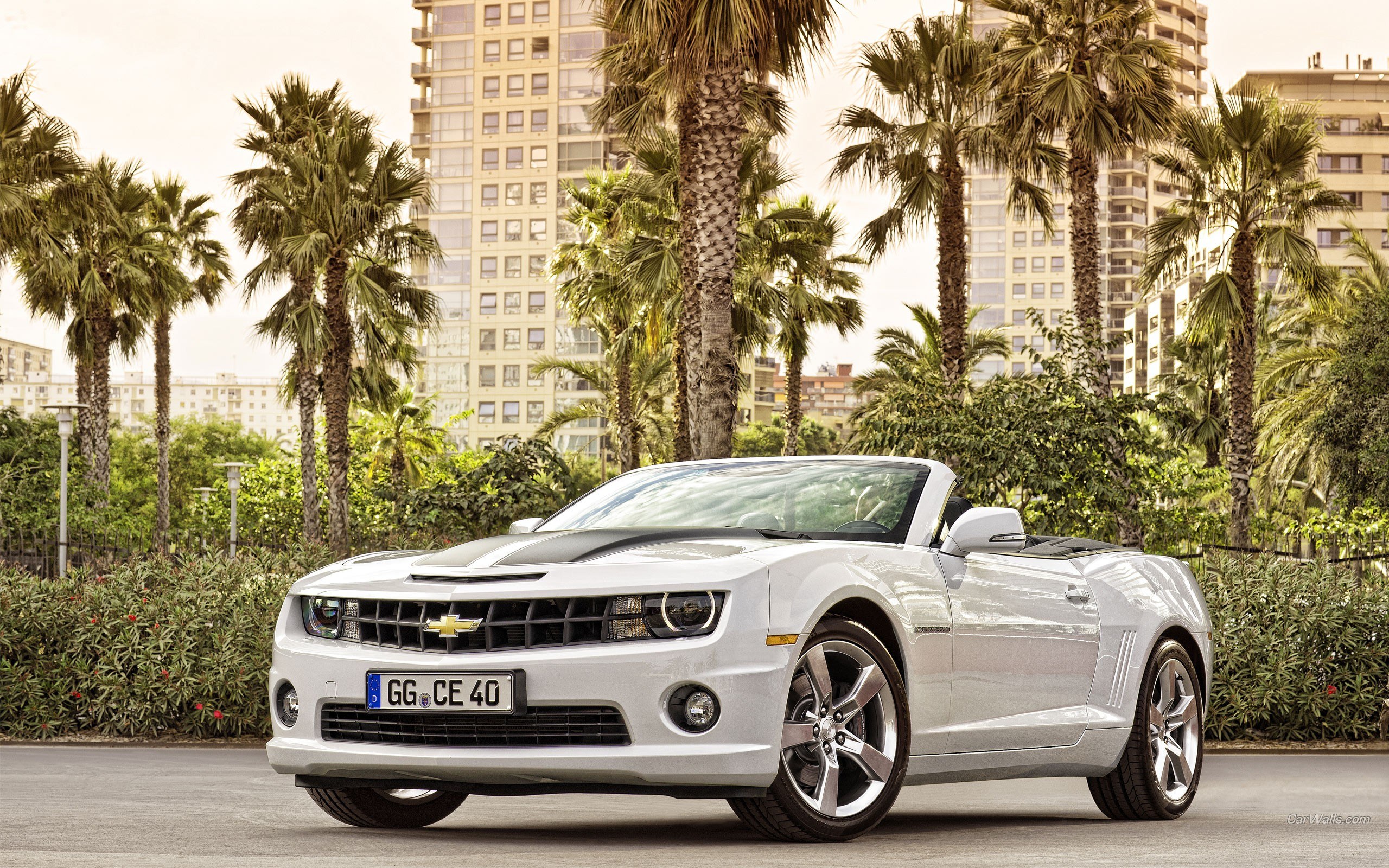 White Chevrolet Camaro convertible