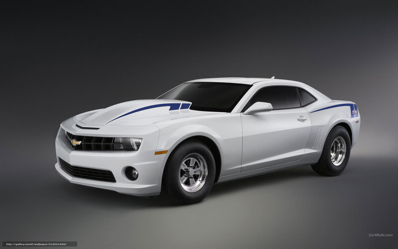 White Chevrolet Camaro — Dramatic, Photograph, Car, Stripes, Chrome Wheels