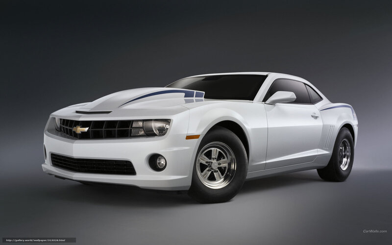 White Chevrolet Camaro — Dramatic, Photograph, Car, Stripes, Wheels