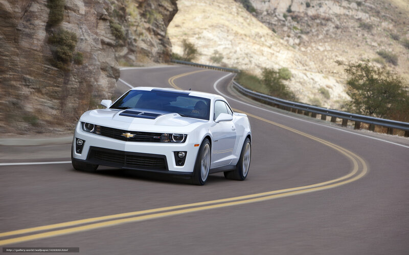 White Chevrolet Camaro — Dynamic, Afternoon