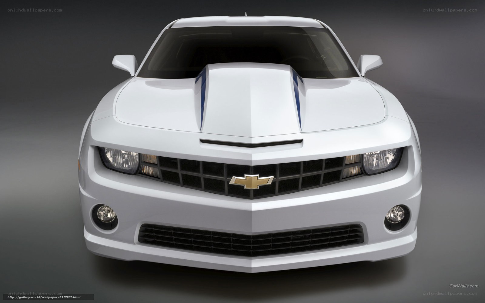 white chevrolet camaro front view