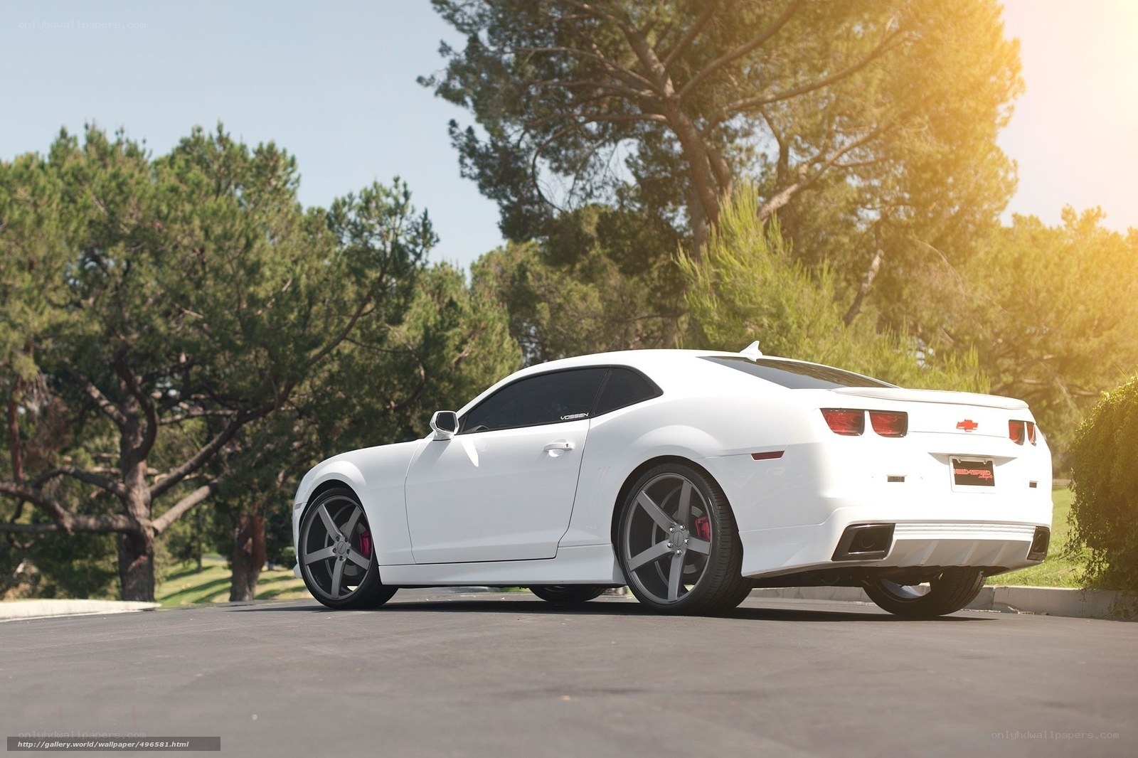 White Chevrolet Camaro on road