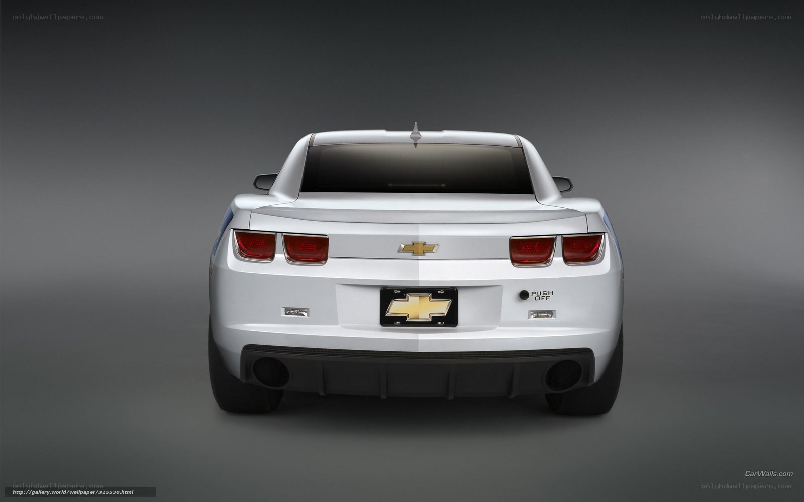 white chevrolet camaro rear view
