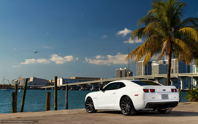 White Chevrolet Camaro — Serene, Afternoon