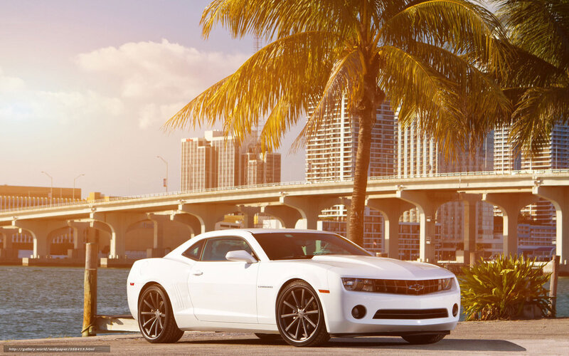 White Chevrolet Camaro — Serene, Sunset
