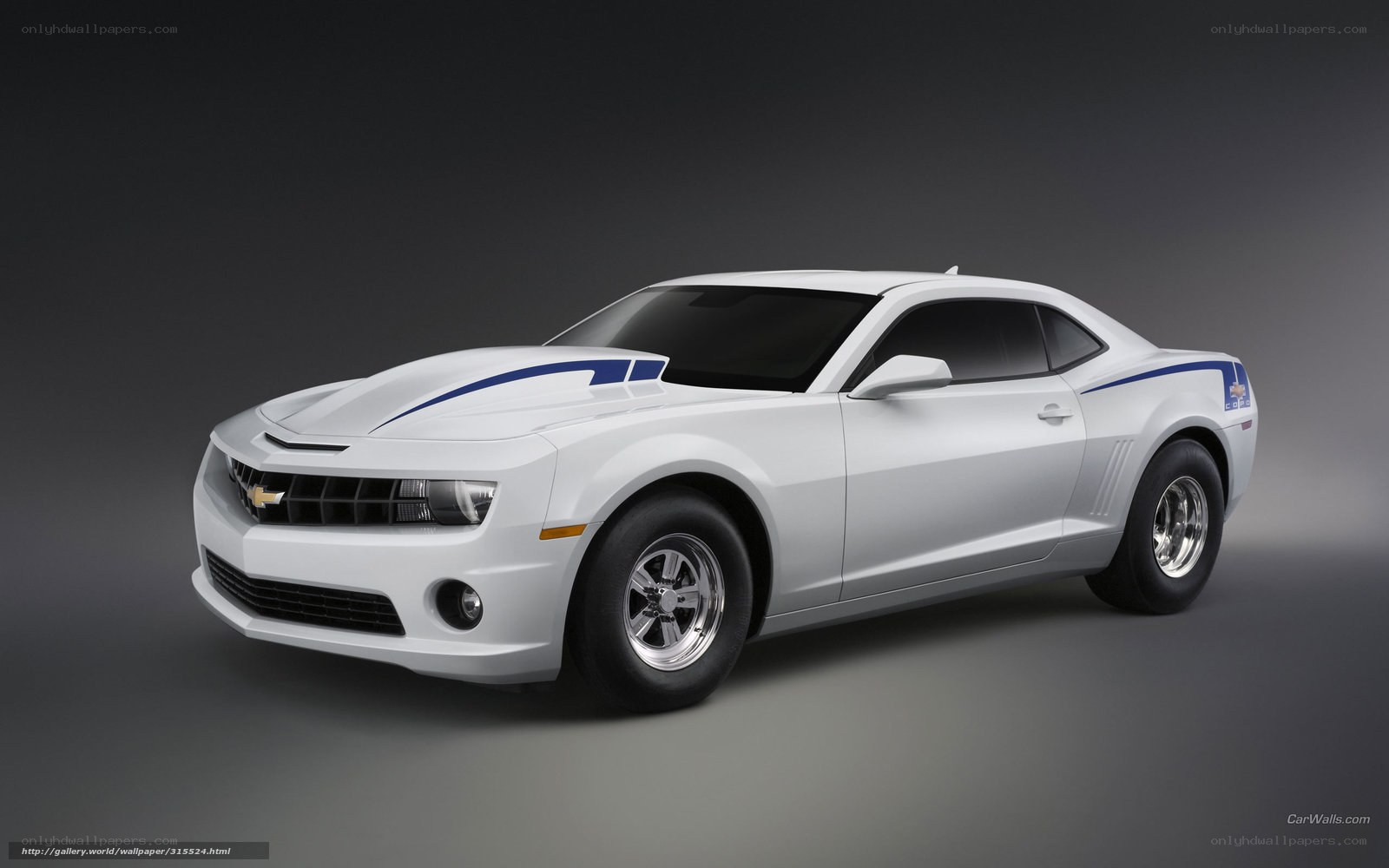 white chevrolet camaro sports car