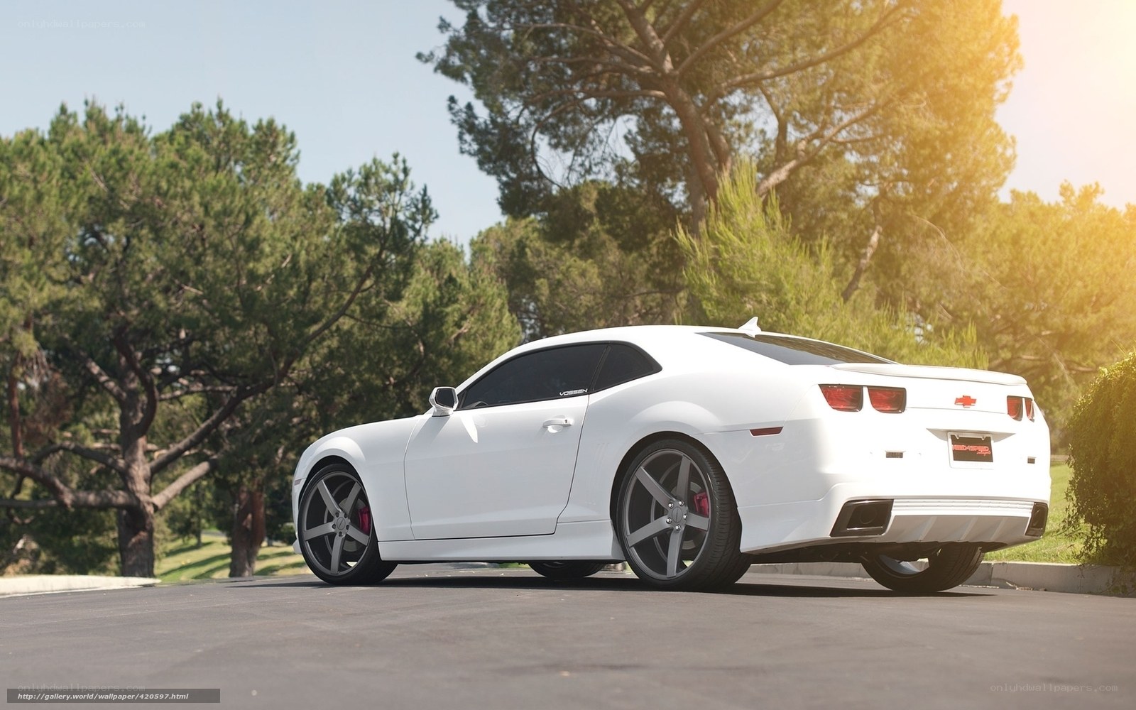 white chevrolet camaro sports car
