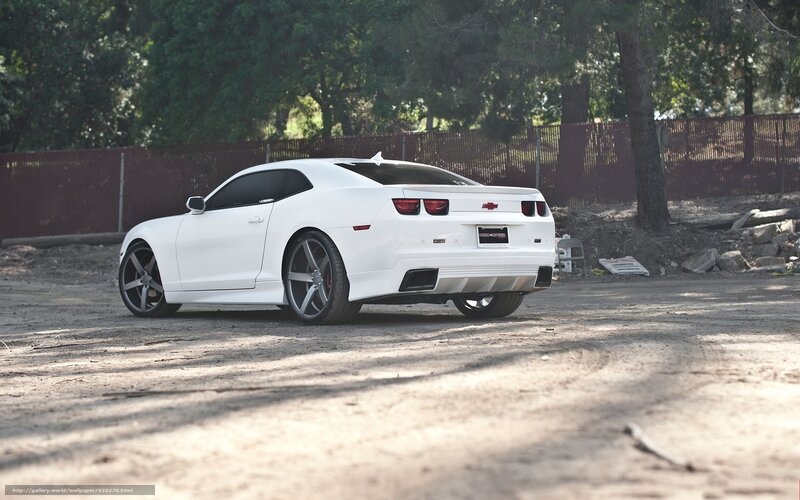 white chevrolet camaro