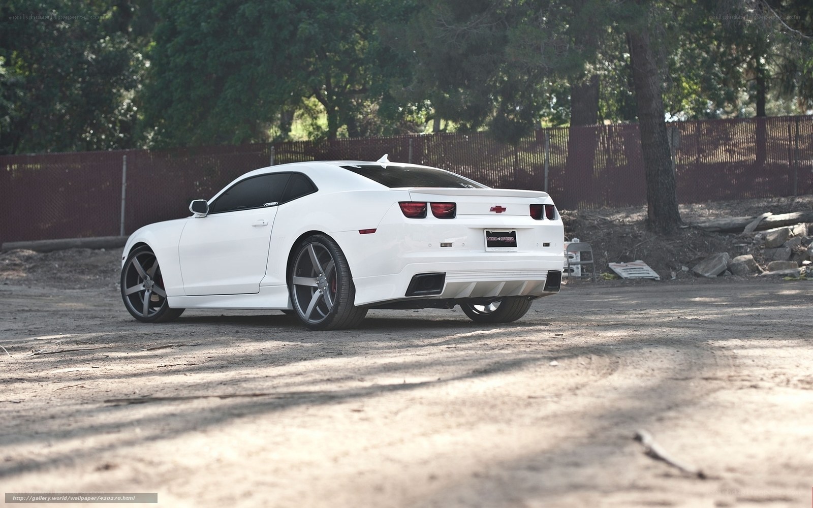 white chevrolet camaro