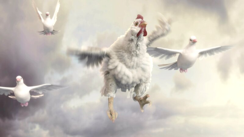 White Chicken Flying