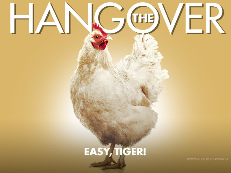 White Chicken Standing