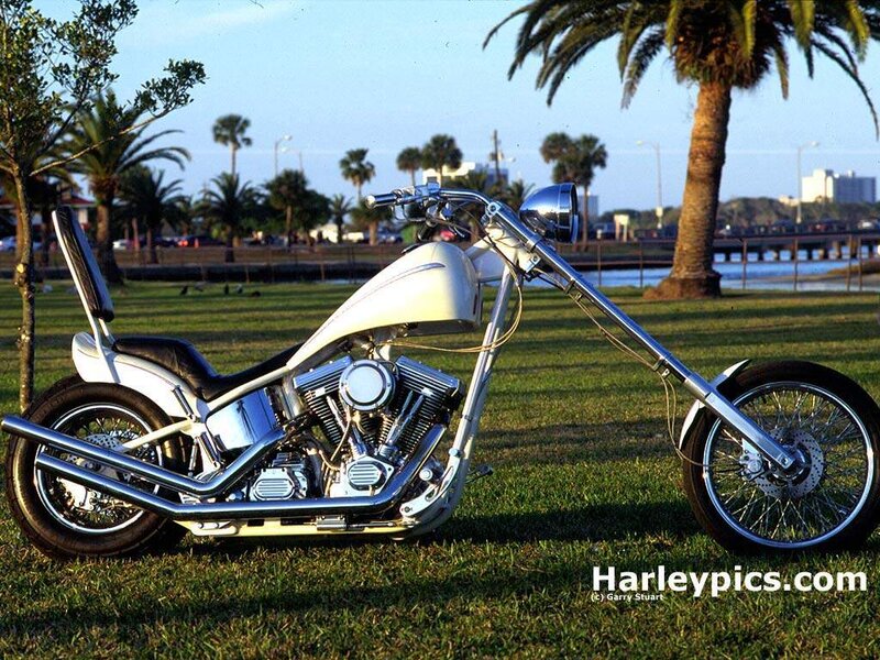 white chopper motorcycle on grass