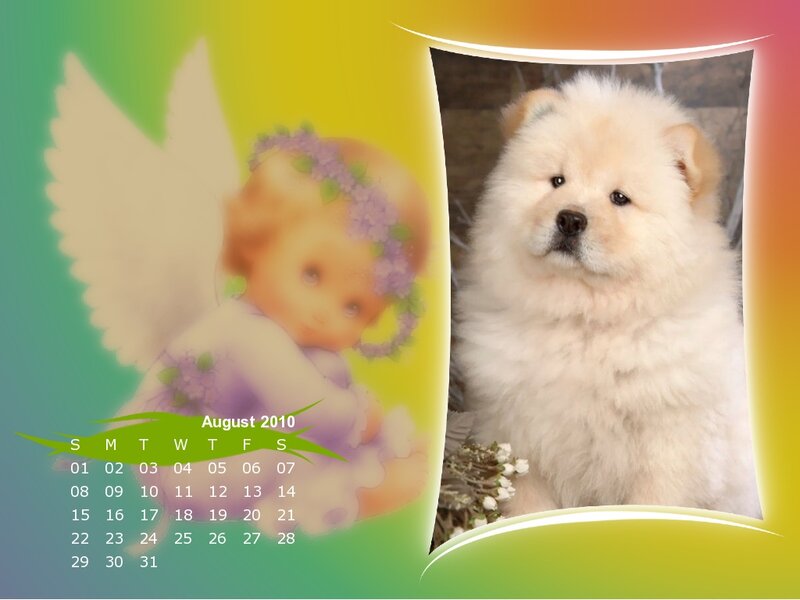 White Chow Chow Puppy — Green
