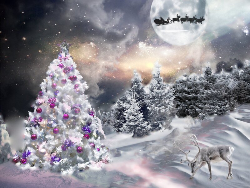 White Christmas Tree — Magical