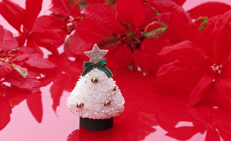 White Christmas tree with poinsettias