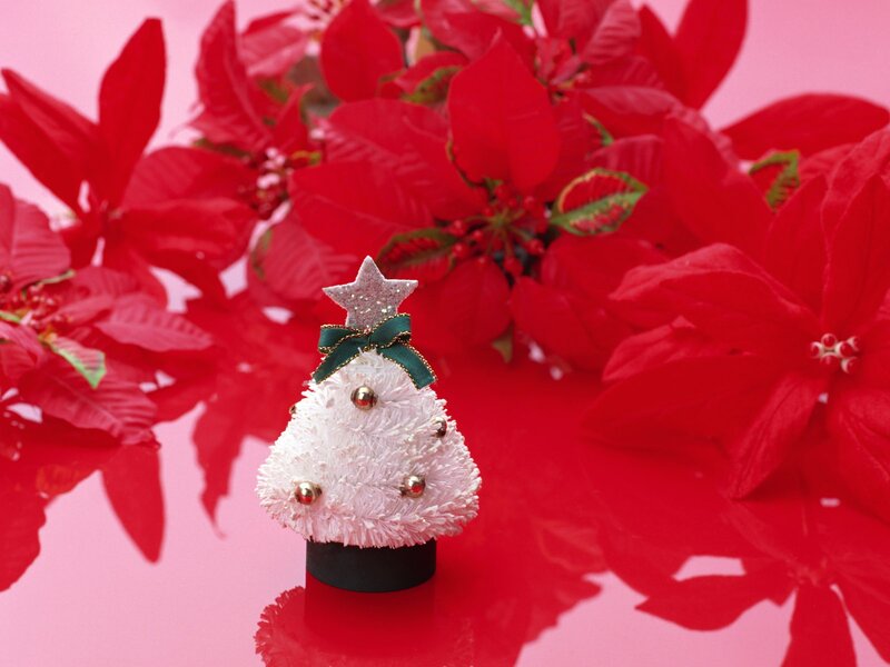 White Christmas tree with poinsettias