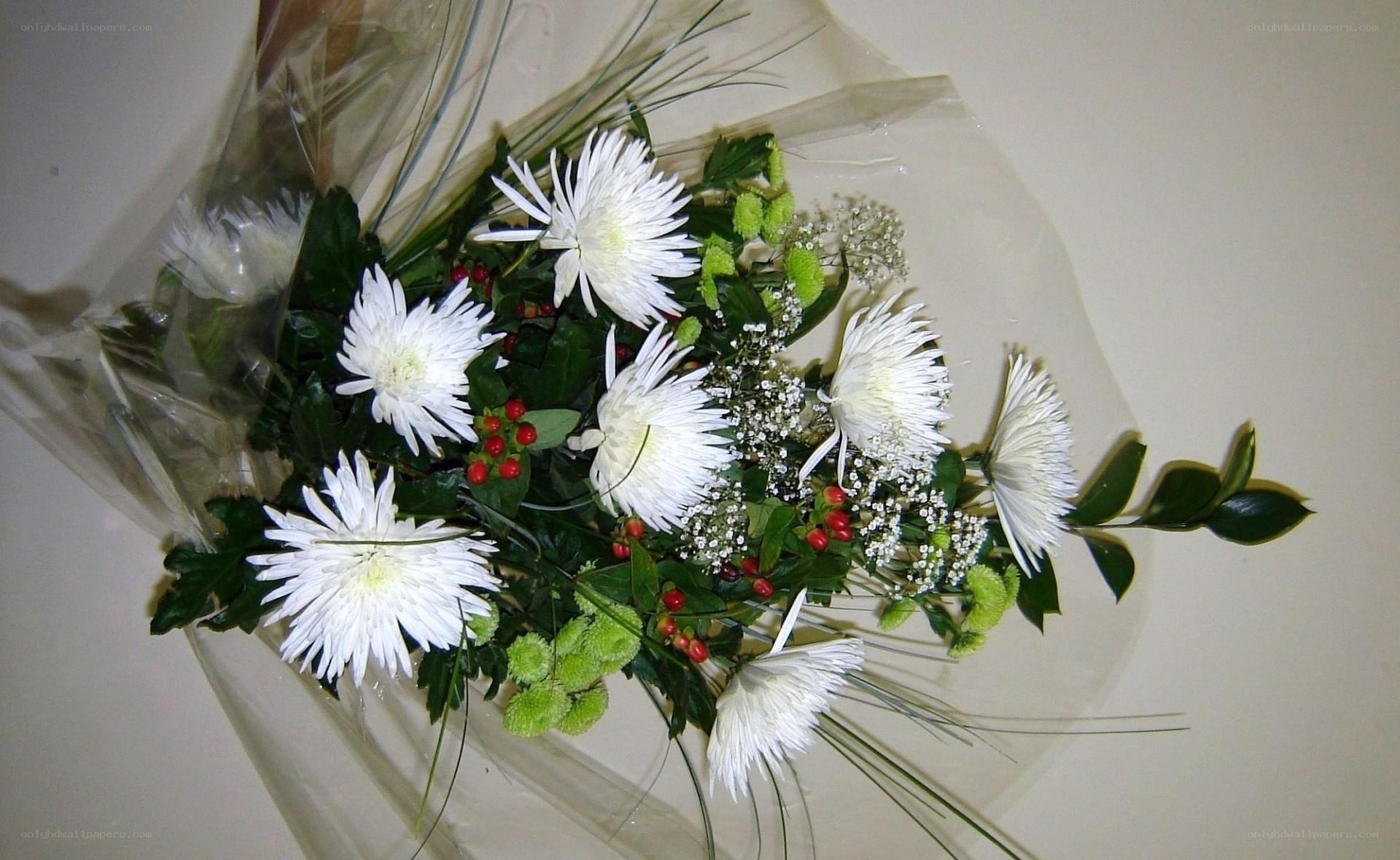 white chrysanthemum bouquet