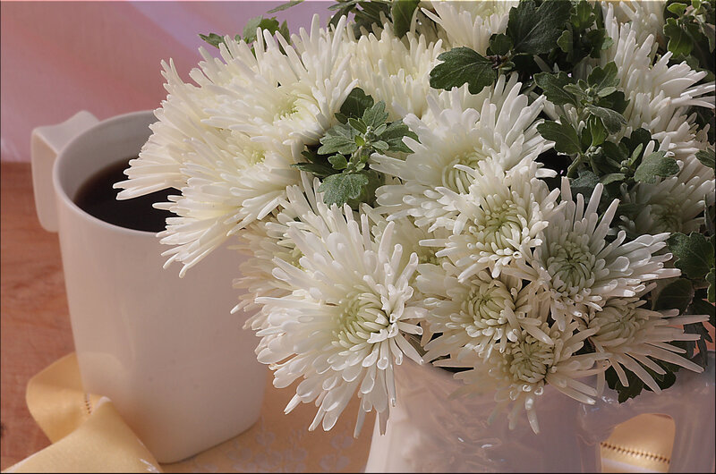 White Chrysanthemum Bouquet — Calm, Morning