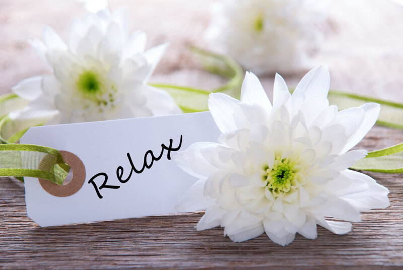 White Chrysanthemum Flower — Calm, Photograph, Tag