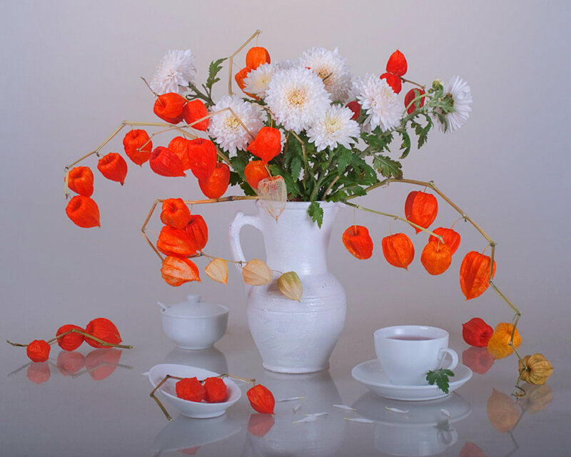 White Chrysanthemums and Lanterns — Serene