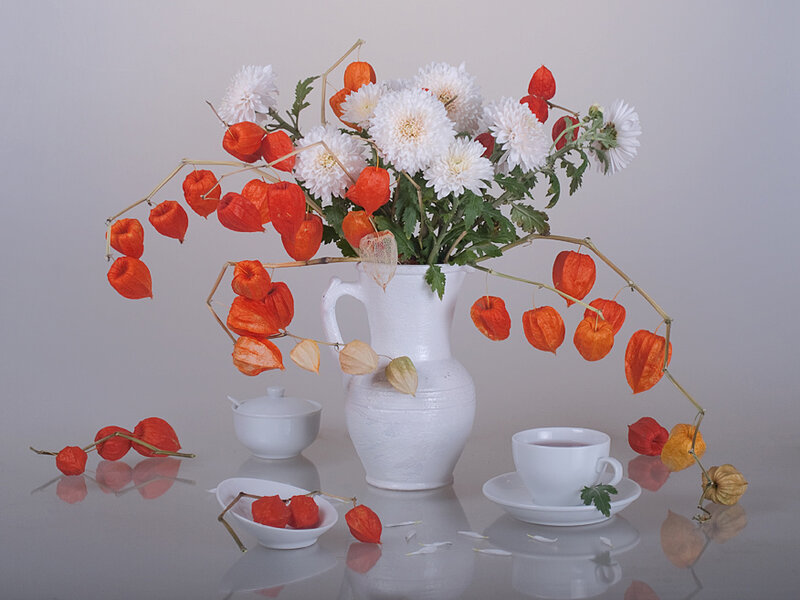 White Chrysanthemums and Lanterns