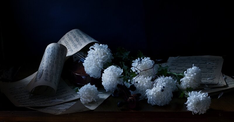 White Chrysanthemums and Violin
