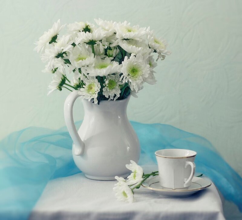 White Chrysanthemums in Pitcher