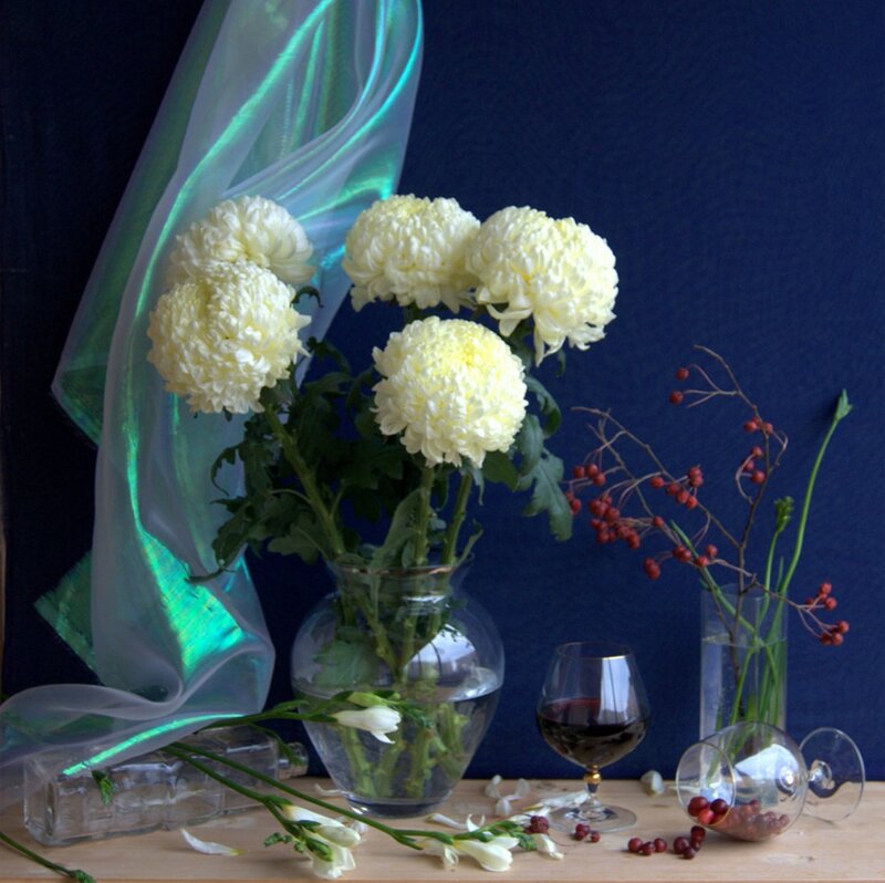 White Chrysanthemums in Vase — Blue, Calm