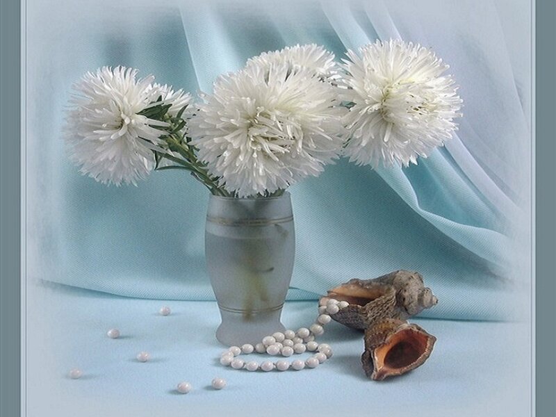 White Chrysanthemums in Vase — Blue