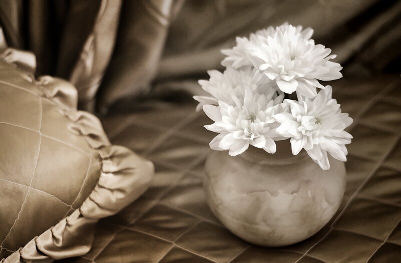 White Chrysanthemums in Vase — Brown