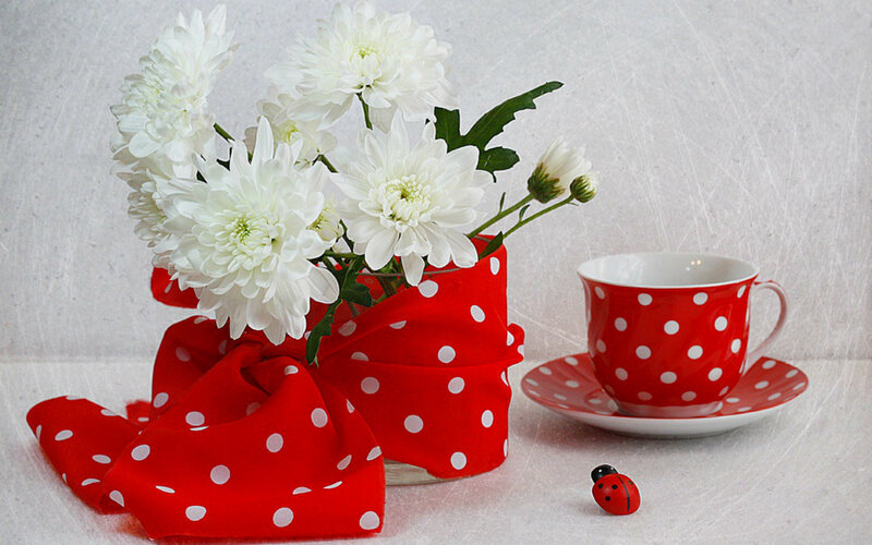 White Chrysanthemums in Vase — Red, Calm