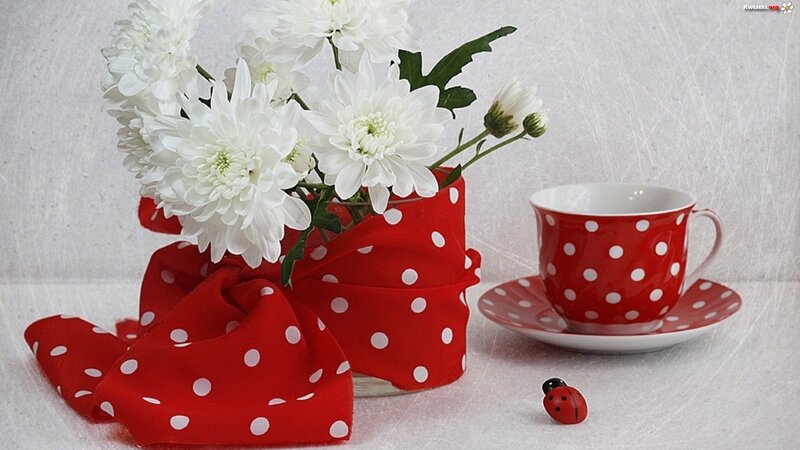 White Chrysanthemums in Vase — Red, Serene