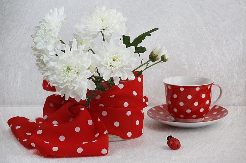White Chrysanthemums in Vase — Red
