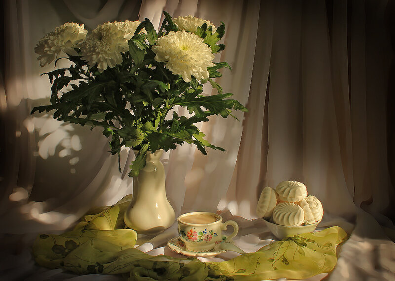 White Chrysanthemums in Vase — Serene, Morning