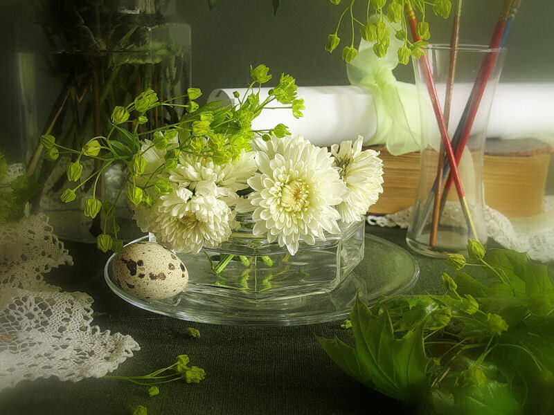 White Chrysanthemums in Vase — Serene, Spring